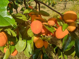 오재오님의 작성글 사진