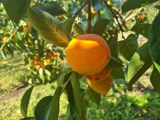 오재오님의 작성글 사진