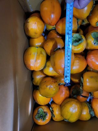 오재오님의 작성글 사진