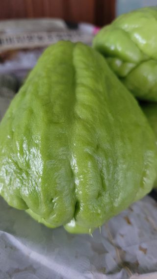 강화댁님의 기타작물 · 자유게시판 작성글 사진