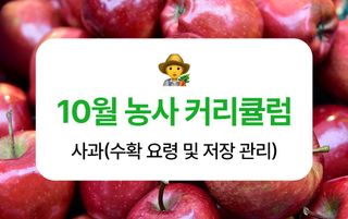 ์ฌ๊ณผ ๋์ฌ๋์ฐ๋ฏธ๋์ ์ฌ๊ณผ ยท ์ํ ์์ฑ๊ธ ์ฌ์ง