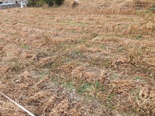 무 하님의 콩 · 자유게시판 작성글 사진