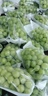 팜모닝 포도·자유게시판 게시글 이미지