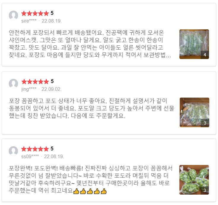 장터 상품 [샤인머스캣 ] 썸네일