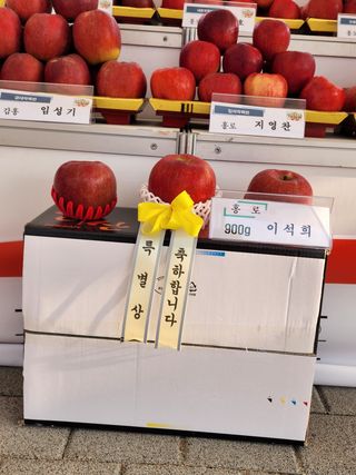 약선밥상머리님의 고추 · 일상 작성글 사진