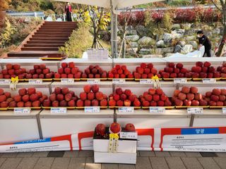 약선밥상머리님의 고추 · 일상 작성글 사진