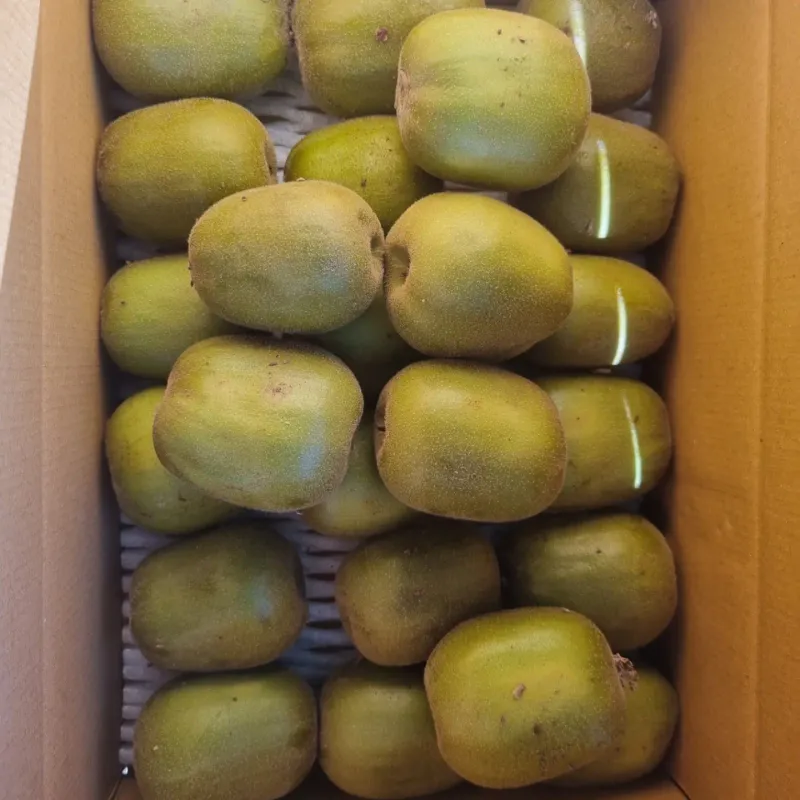 이승철님의 장터 판매 상품 [레드키위 3kg(24과수내외)36,000] 첨부 사진