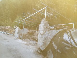 허굴산농장님의 복숭아 · 자유게시판 작성글 사진