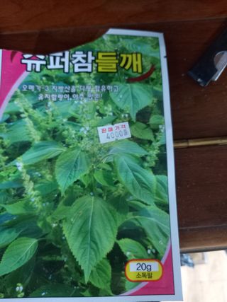 정도석 님의 들깨 · 자유게시판 작성글 사진