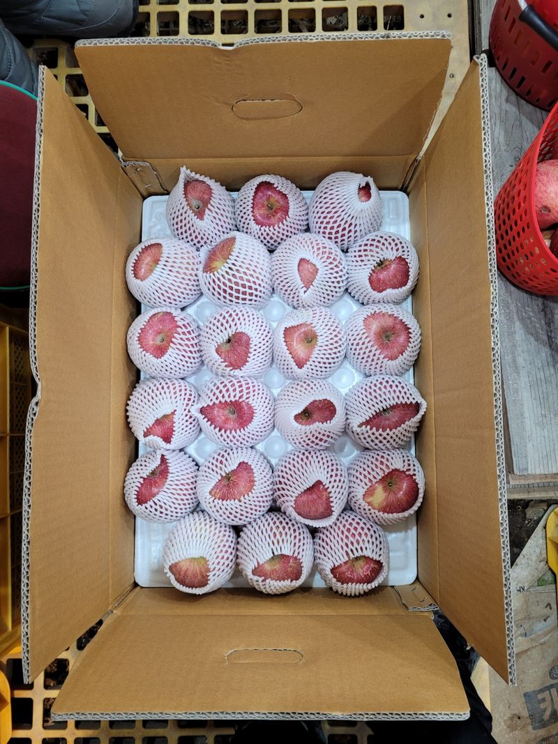 장터 상품 [부사 가격표참조] 썸네일