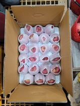 팜모닝 · 게시글 이미지