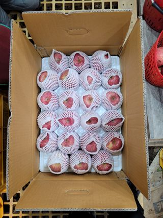 부석사 가족농원님의 작성글 사진