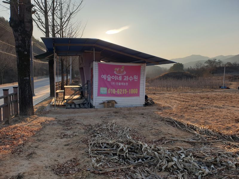 부석사 가족농원님의 장터 판매 상품 [부사 가격표참조] 첨부 사진