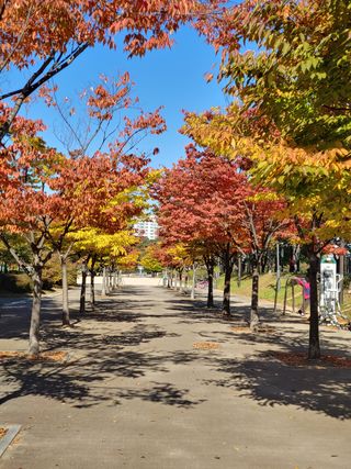 박훈영님의 두릅 · 일상 작성글 사진