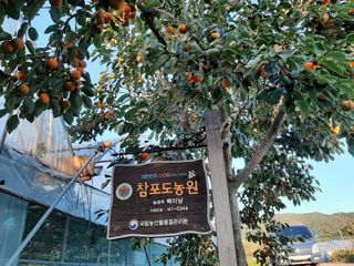 백이남님의 양배추 · 자유게시판 작성글 사진