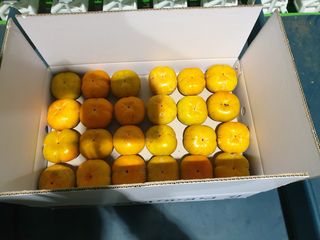 박병용님의 작성글 사진