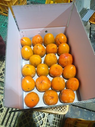 박병용님의 작성글 사진