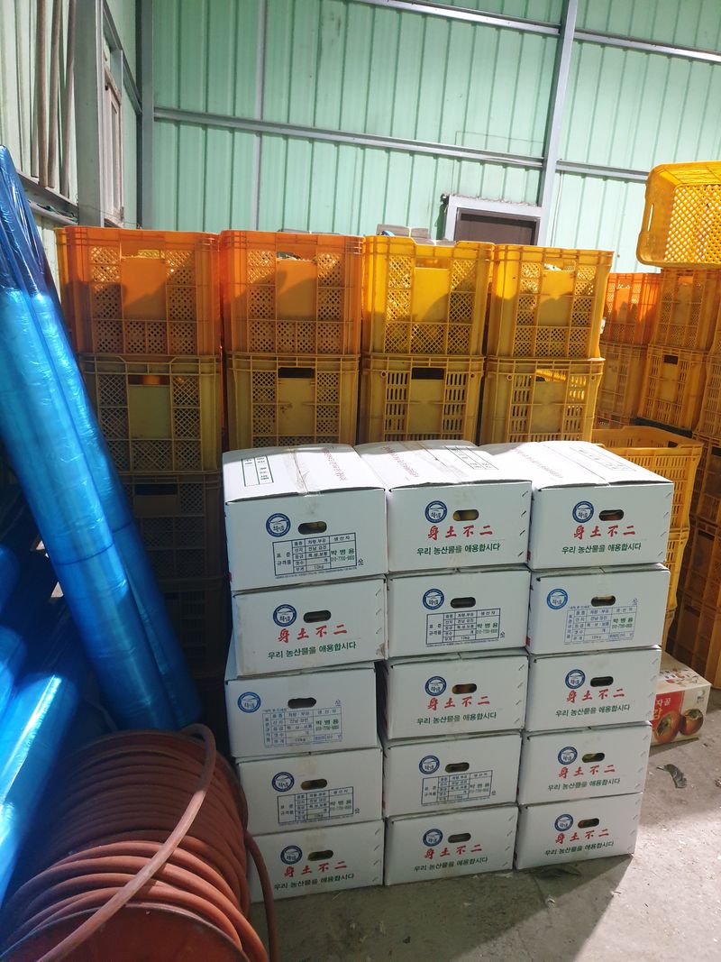 장터 상품 [단감 및 대봉 단감.대봉~5kg박스(실중량7~8kg)-15,000원] 썸네일