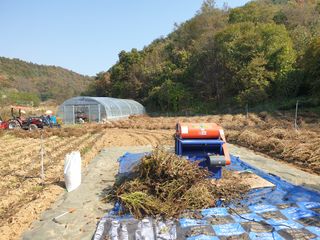 최규빈님의 매실 · 자유게시판 작성글 사진