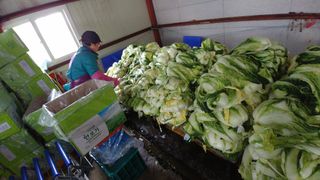 이창규님의 작성글 사진