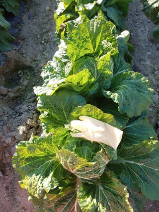 이창규님의 작성글 사진