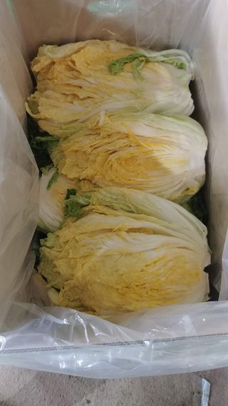 이창규님의 작성글 사진