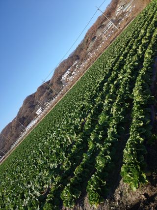 이창규님의 작성글 사진