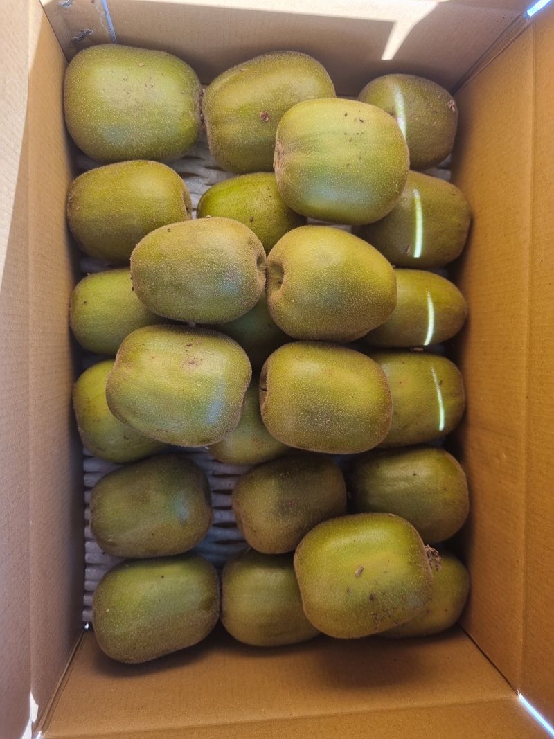 장터 상품 [레드키위 3kg(24과수내외)36,000] 썸네일