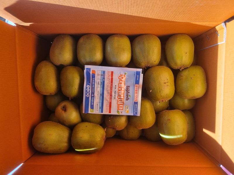 이승철님의 장터 판매 상품 [레드키위 3kg(24과수내외)36,000] 첨부 사진