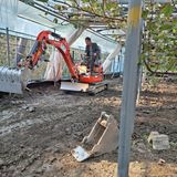 팜모닝 양파·자유게시판 게시글 이미지