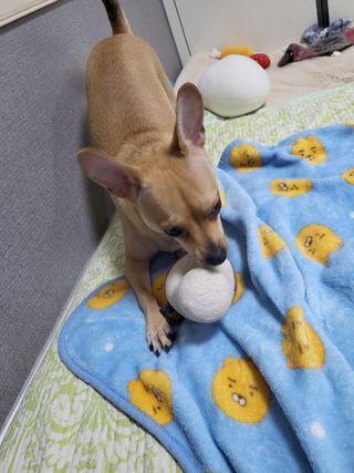 백병기 님의 기타작물 · 자유게시판 작성글 사진