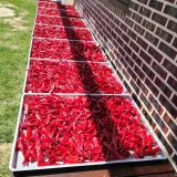 팜모닝 · 게시글 이미지