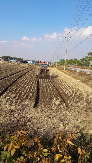 김종만님의 기타작물 · 자유게시판 작성글 사진