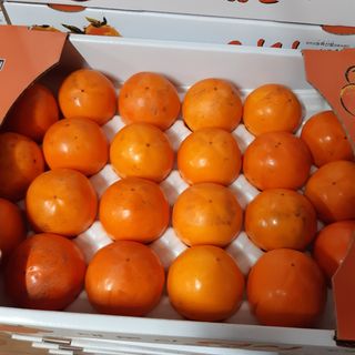 오색땅콩님의 작성글 사진