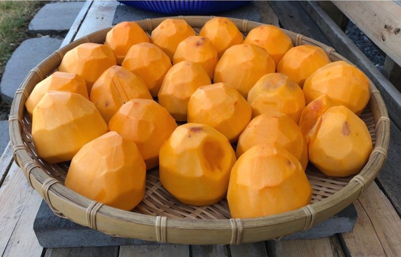 장터 상품 [둥시감(월하시) ] 썸네일