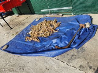 알 수 없음님의 콩 · 자유게시판 작성글 사진