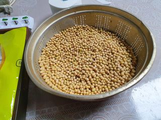 알 수 없음님의 콩 · 자유게시판 작성글 사진