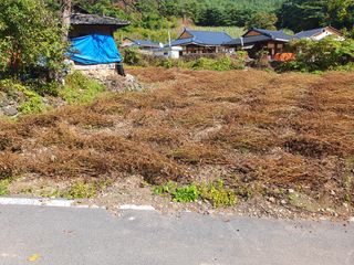 알 수 없음님의 들깨 · 자유게시판 작성글 사진