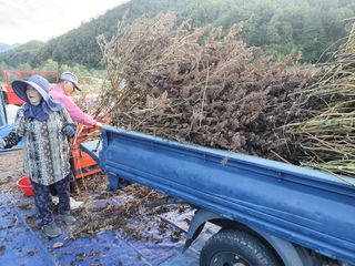 알 수 없음님의 들깨 · 자유게시판 작성글 사진