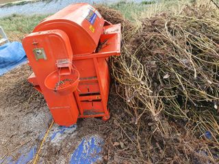 알 수 없음님의 들깨 · 자유게시판 작성글 사진