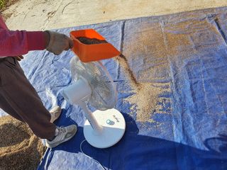 알 수 없음님의 들깨 · 자유게시판 작성글 사진