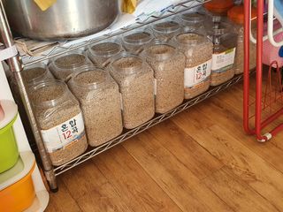 알 수 없음님의 들깨 · 자유게시판 작성글 사진