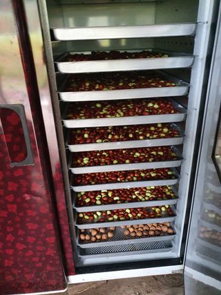 알 수 없음님의 사과 · 일상 작성글 사진