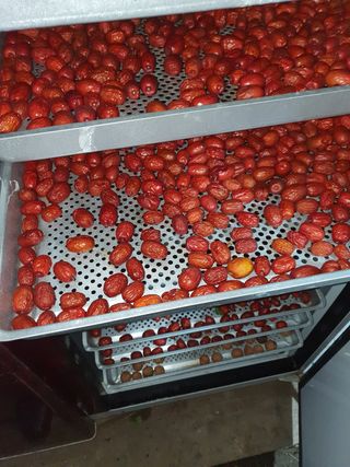 알 수 없음님의 사과 · 일상 작성글 사진