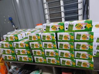 한국인님의 호박 · 자유게시판 작성글 사진