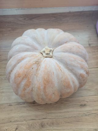 0104830429님의 배추 · 일상 작성글 사진