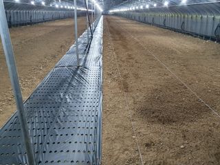 김권수님의 들깨 · 자유게시판 작성글 사진