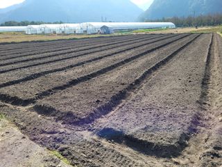 김상중 님의 블루베리 · 자유게시판 작성글 사진