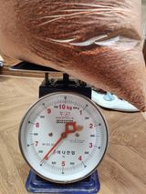 팜모닝 · 게시글 이미지