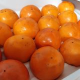 팜모닝 · 게시글 이미지